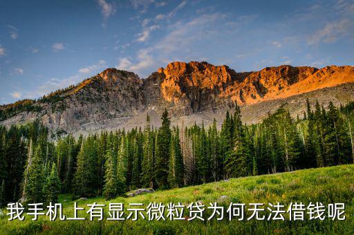 我手機(jī)上有顯示微粒貸為何無(wú)法借錢呢