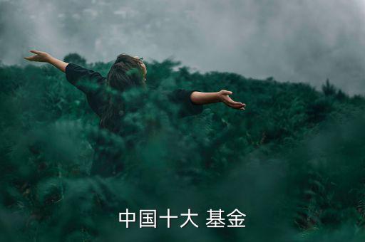 中國(guó)十大 基金
