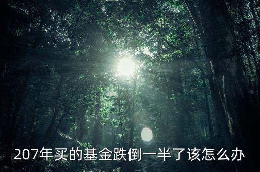 207年買的基金跌倒一半了該怎么辦