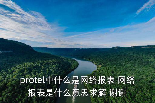 protel中什么是網(wǎng)絡(luò)報表 網(wǎng)絡(luò)報表是什么意思求解 謝謝