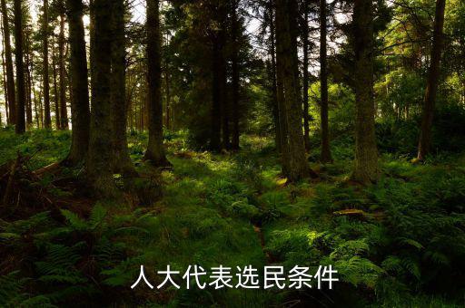 怎么才能當(dāng)上人大代表,全國人民代表大會(huì)代表選舉方式如下