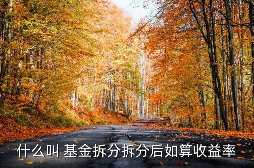 上拆的基金怎么計(jì)算,基金按1:2比例拆分后凈值變成1元