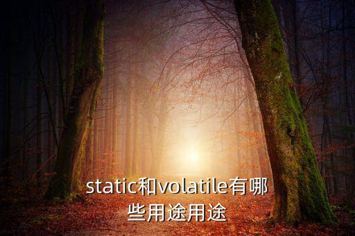 vtm有什么用，static和volatile有哪些用途用途