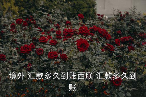 從美國(guó)用西聯(lián)匯款過不來怎么回事,理財(cái)知多少?問與答（19）