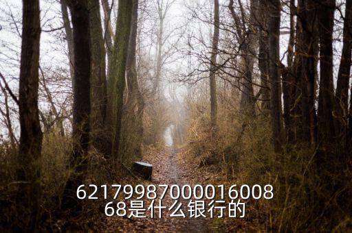 中債資信屬于什么銀行，6217998700001600868是什么銀行的