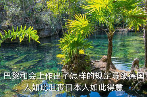 巴黎和會(huì)上作出了怎樣的規(guī)定導(dǎo)致德國人如此沮喪日本人如此得意