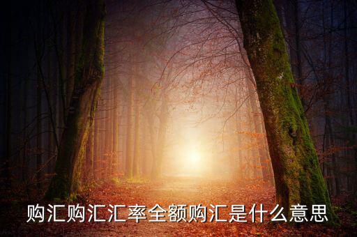 全額匯購是什么意思，什么叫全額結(jié)匯