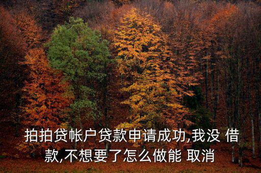  拍拍貸帳戶貸款申請(qǐng)成功,我沒 借款,不想要了怎么做能 取消