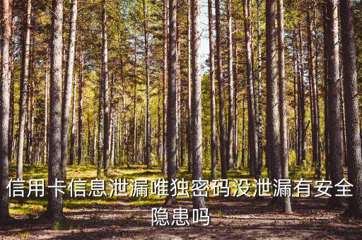 信用卡信息泄露有什么風(fēng)險(xiǎn)，信用卡信息泄漏唯獨(dú)密碼沒(méi)泄漏有安全隱患嗎