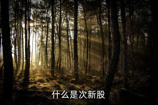 什么叫次新股，什么是次新股