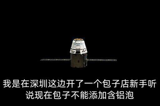 包子禁止添加什么，我是在深圳這邊開(kāi)了一個(gè)包子店新手聽(tīng)說(shuō)現(xiàn)在包子不能添加含鋁泡