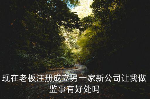 上市公司做監(jiān)事有什么好處，現(xiàn)在老板注冊(cè)成立另一家新公司讓我做監(jiān)事有好處嗎