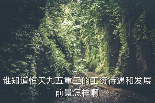恒天九五什么時候上市，誰知道恒天九五重工的工資待遇和發(fā)展前景怎樣啊