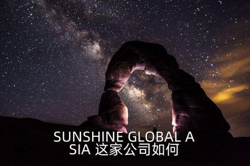 永信亞洲有限公司主要業(yè)務(wù)是什么，SUNSHINE GLOBAL ASIA 這家公司如何