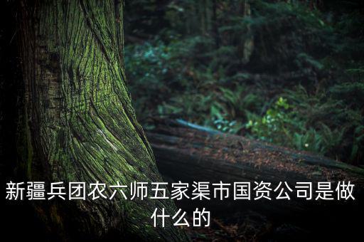 新疆兵團農(nóng)六師五家渠市國資公司是做什么的