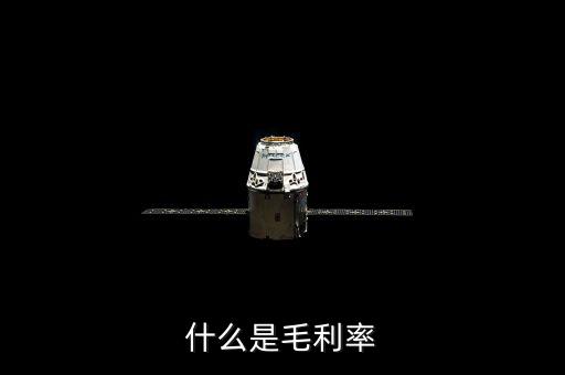 毛利率是什么，毛利率是什么意思