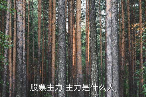 炒股的都是什么人，什么樣的人才是炒股的高手