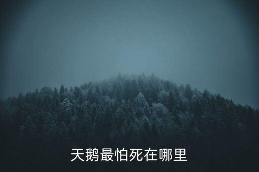 天鵝怕什么，天鵝最怕死在哪里