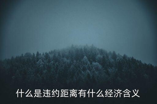 什么是違約距離有什么經(jīng)濟含義