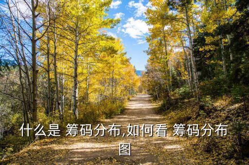 看盤軟件在分時(shí)圖顯示籌碼怎么看,怎么打開(kāi)籌碼分布圖?