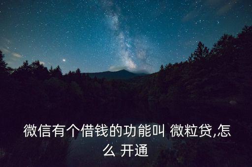  微信有個(gè)借錢的功能叫 微粒貸,怎么 開(kāi)通