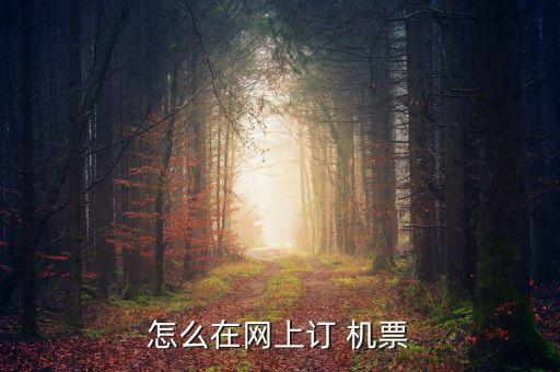 怎么在網(wǎng)上訂 機(jī)票