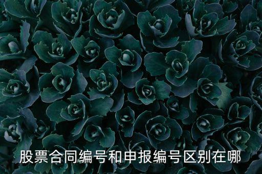 股票合同編號和申報(bào)編號區(qū)別在哪