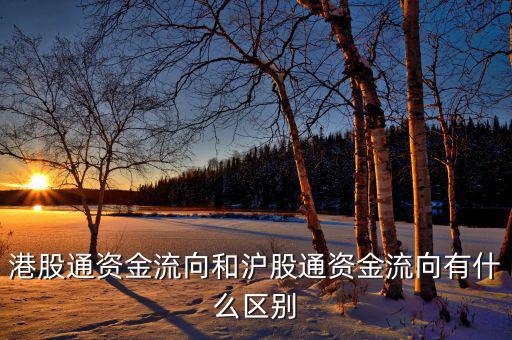港股通風(fēng)控資金是什么，港股通資金流向和滬股通資金流向有什么區(qū)別