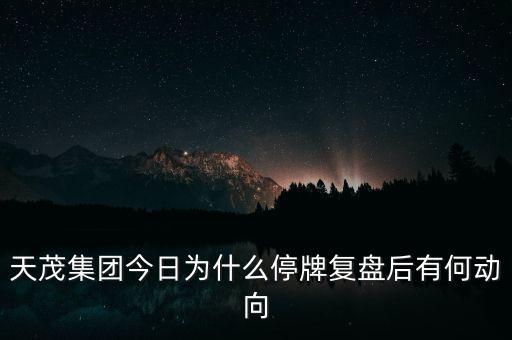 天茂集團(tuán)今日為什么停牌復(fù)盤(pán)后有何動(dòng)向
