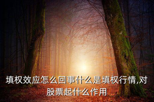 填權效應怎么回事什么是填權行情,對股票起什么作用