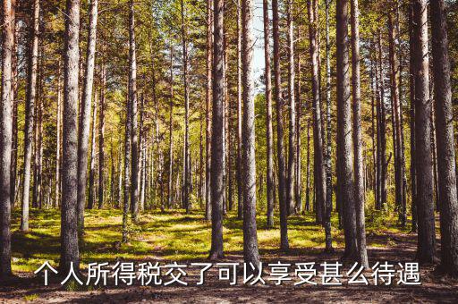 個人所得稅交了可以享受甚么待遇