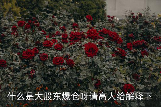 大股東爆倉什么意思，什么是大股東爆倉呀請高人給解釋下