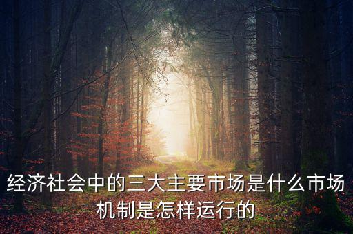 經(jīng)濟社會中的三大主要市場是什么市場機制是怎樣運行的