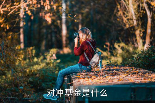 對沖基金是什么意思，什么是對沖基金對沖基金指的是什么