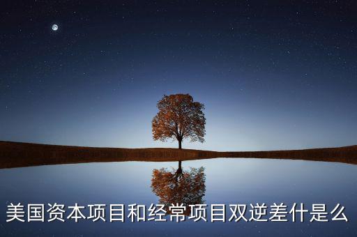 雙逆差是什么意思，逆差是什么意思