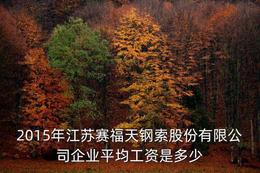 賽福天是什么公司，2015年江蘇賽福天鋼索股份有限公司企業(yè)平均工資是多少