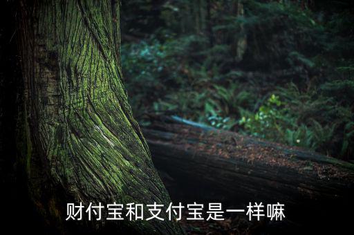 財(cái)付寶和支付寶是一樣嘛