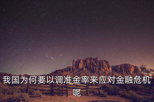我國為何要以調(diào)準金率來應對金融危機呢