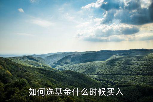一只基金什么點買入好，我想買點基金哪一種比較好