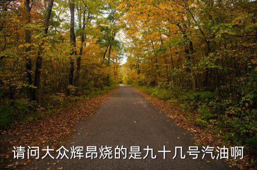 什么車燒90號汽油，請問大眾輝昂燒的是九十幾號汽油啊