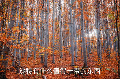 沙特特產(chǎn)什么，沙特有什么特產(chǎn)