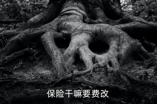 什么是費改產(chǎn)品，移動營業(yè)廳不能由用戶老產(chǎn)品轉(zhuǎn)換成當(dāng)前產(chǎn)品什么意思