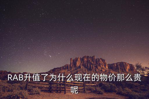 RAB升值了為什么現(xiàn)在的物價那么貴呢