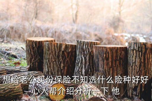 夫妻買什么保險(xiǎn)好，想給老公買份保險(xiǎn)不知選什么險(xiǎn)種好好心人幫介紹分析一下 他