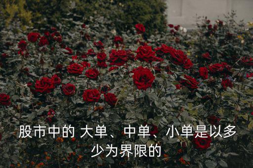  股市中的 大單、中單、小單是以多少為界限的