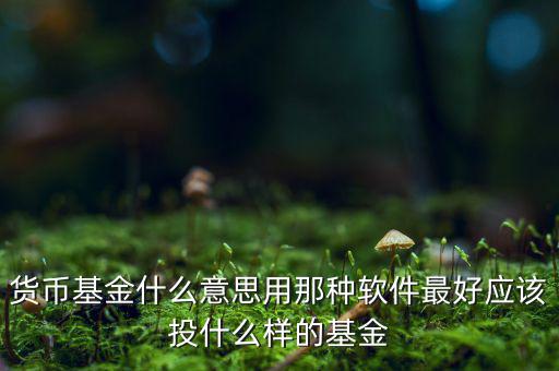 貨幣基金t什么意思，貨幣基金贖回時間T3是什么意思