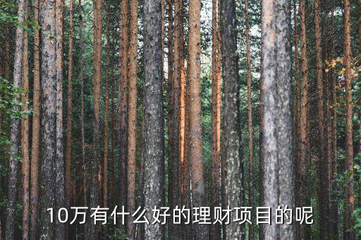 10萬(wàn)做什么理財(cái)好，10萬(wàn)有什么好的理財(cái)項(xiàng)目的呢
