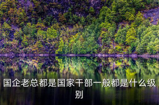 中交地產(chǎn)總經(jīng)理屬于什么級別干部，國企老總都是國家干部一般都是什么級別