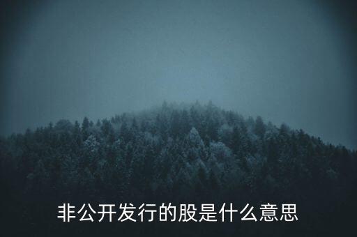 非公開(kāi)發(fā)行的股是什么意思