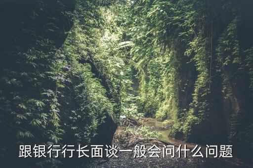 跟銀行行長(zhǎng)面談一般會(huì)問(wèn)什么問(wèn)題